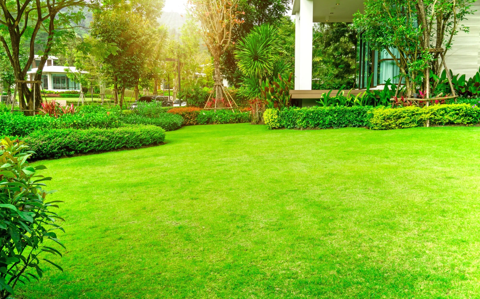 Lawn Care